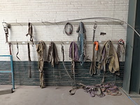 Assortiment hijs- en spanbanden - afbeelding 4 van  11