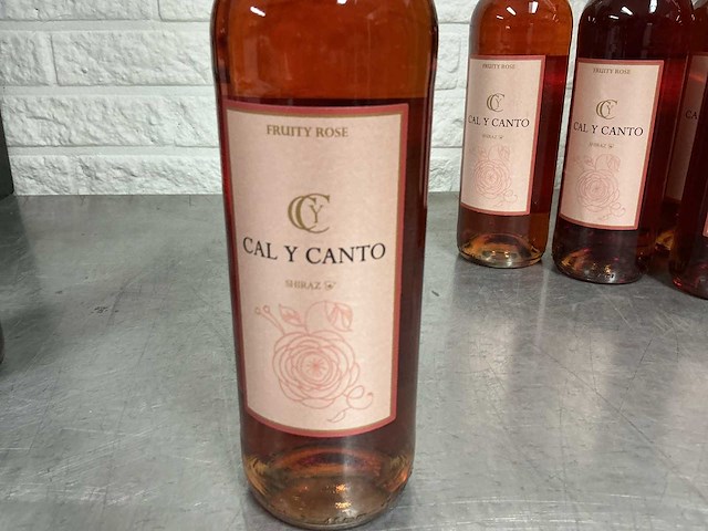 Assortiment rosé wijn (14x) - afbeelding 7 van  16