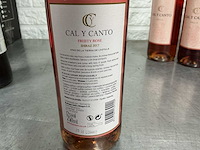 Assortiment rosé wijn (14x) - afbeelding 8 van  16