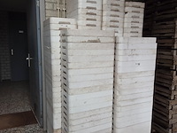Assortiment tempex kweekbakken - afbeelding 1 van  3