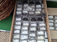 Assortiment tuindecoratie o.a. wildlife - afbeelding 25 van  34