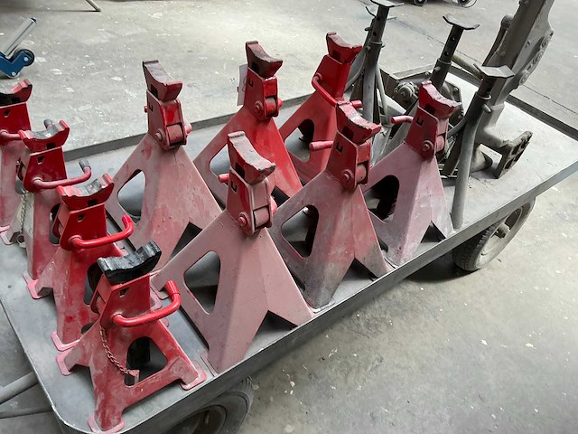 Assteun (14x) - afbeelding 8 van  8