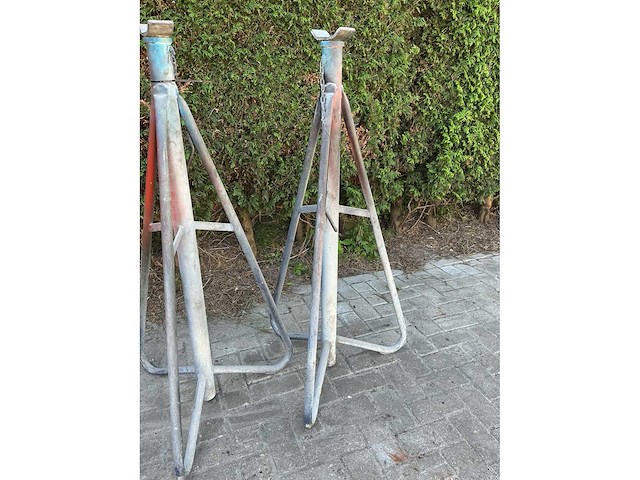 Assteun (2x) - afbeelding 3 van  9