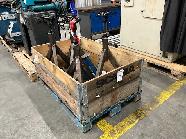 Assteun (5x) - afbeelding 1 van  5