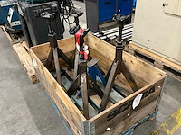 Assteun (5x) - afbeelding 2 van  5