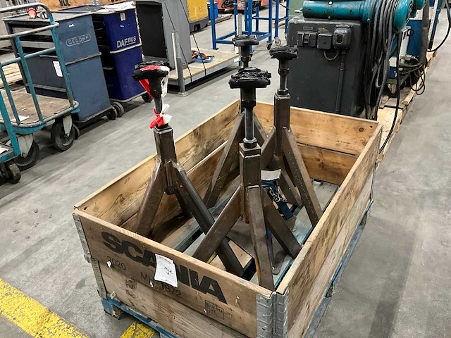 Assteun (5x) - afbeelding 3 van  5