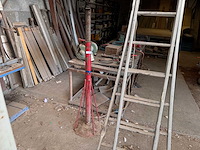 Assteun - afbeelding 1 van  1