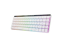 Asus rog falchion rx low profile white toetsenbord voor gaming qwerty wit - afbeelding 1 van  5