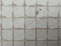 Atlas concorde - solution - 30x30 cm - 8 m2 - partij wandtegel - afbeelding 3 van  6