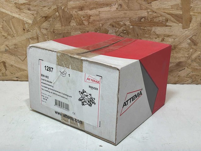 Attema stekerbare centraaldoos wisselschakeling - at1287 (10x) - afbeelding 10 van  11