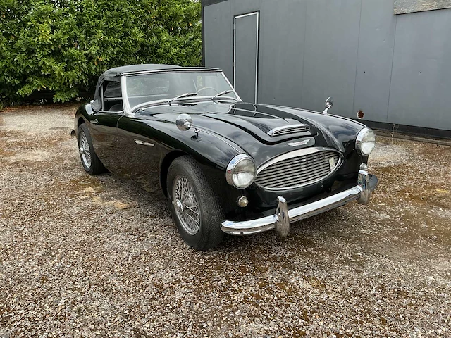 Austin-healey - 3000 - oldtimer - afbeelding 2 van  8