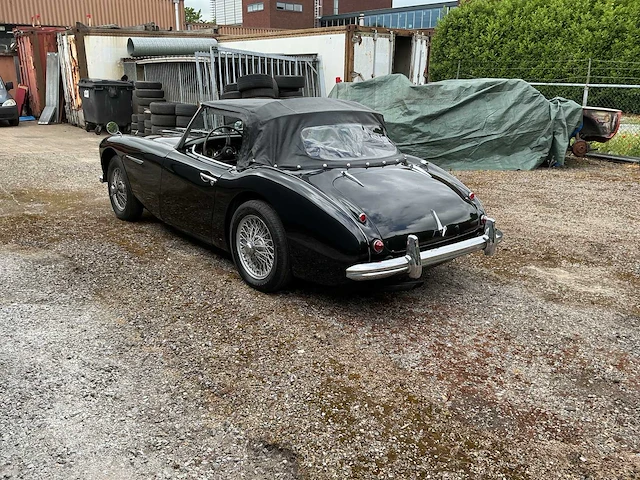 Austin-healey - 3000 - oldtimer - afbeelding 3 van  8