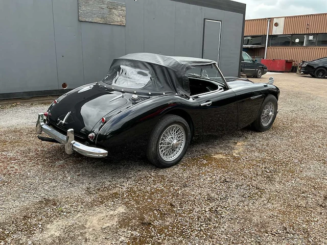 Austin-healey - 3000 - oldtimer - afbeelding 4 van  8