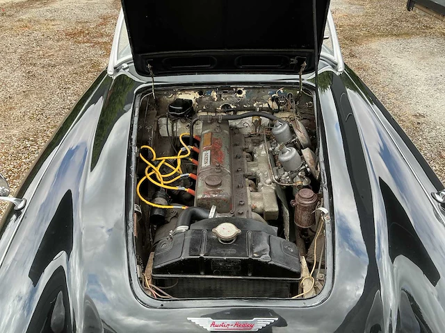 Austin-healey - 3000 - oldtimer - afbeelding 8 van  8