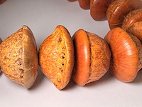 Authentic tibetan temple prayer beads - afbeelding 3 van  4