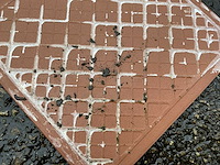 Azteca - 20x20 cm - 9 m2 - wandtegel - afbeelding 3 van  5
