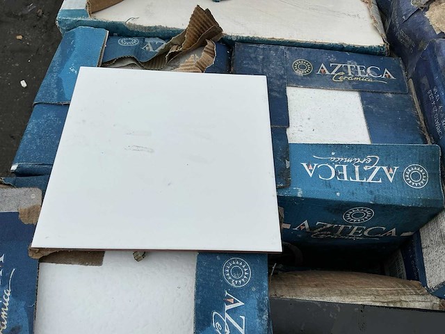 Azteca - 20x20 cm - 9 m2 - wandtegel - afbeelding 5 van  5