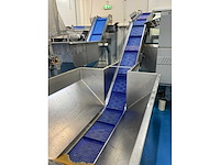 Baader 176 / ba 176r 4-voudige visfileerlijn met transportsystemen - afbeelding 30 van  37