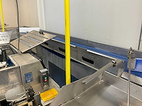 Baader 176 / ba 176r 4-voudige visfileerlijn met transportsystemen - afbeelding 31 van  37