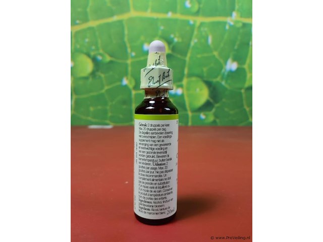 Bach voedingssupplementen, diverse soorten o.a. bloemenremedy original flower essences, wild oat & white chesnut - afbeelding 6 van  33