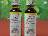 Bach voedingssupplementen, diverse soorten o.a. bloemenremedy original flower essences, wild oat & white chesnut - afbeelding 12 van  33