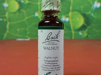 Bach voedingssupplementen, diverse soorten o.a. bloemenremedy original flower essences, wild oat & white chesnut - afbeelding 33 van  33