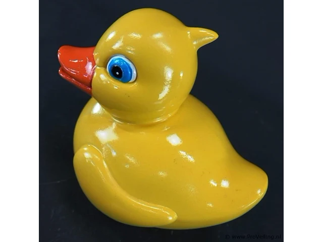 Badeend - afbeelding 3 van  5