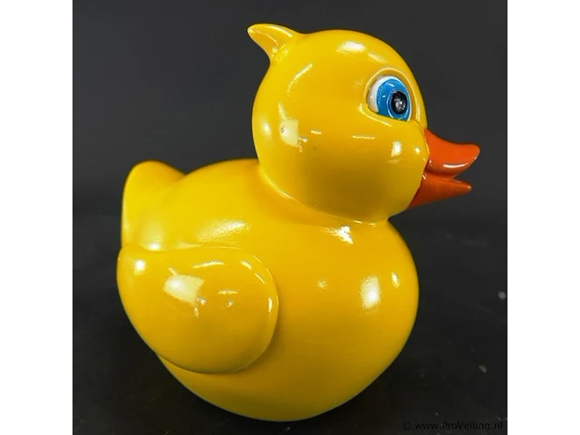 Badeend - afbeelding 4 van  5