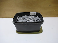 Bak met spaanderplaatschroeven poppers, kruiskop - afbeelding 1 van  2