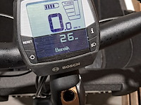 Bakfiets, carqon, cruise e2, wit, 2024 - afbeelding 18 van  22