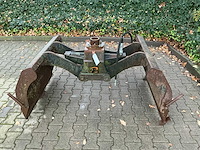 Bakker schalengrijper - afbeelding 3 van  8