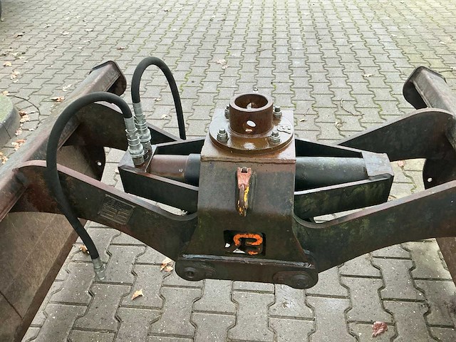 Bakker schalengrijper - afbeelding 6 van  8