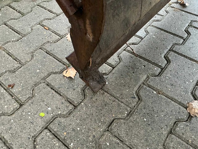 Bakker schalengrijper - afbeelding 7 van  8