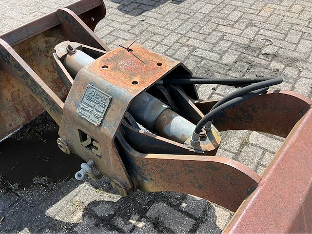 Bakker schalengrijper - afbeelding 5 van  6