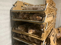 Bakkerij producten - afbeelding 12 van  12