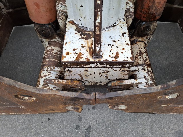 Bakknijper/ zandgrijper - afbeelding 10 van  10