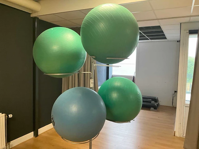 Balansbal op rek (5x) - afbeelding 2 van  3