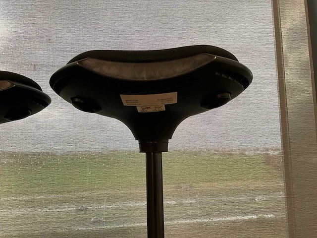 Balanskruk (2x) - afbeelding 3 van  3