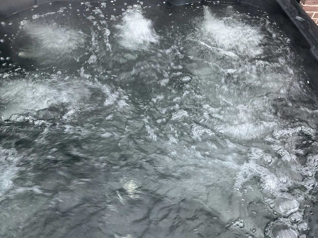 Balboa spa buitenspa jacuzzi/buitenspa - afbeelding 6 van  10