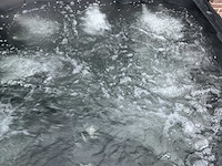 Balboa spa buitenspa jacuzzi/buitenspa - afbeelding 6 van  10