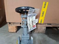 Balgafsluitklep bvalve, bv2506x