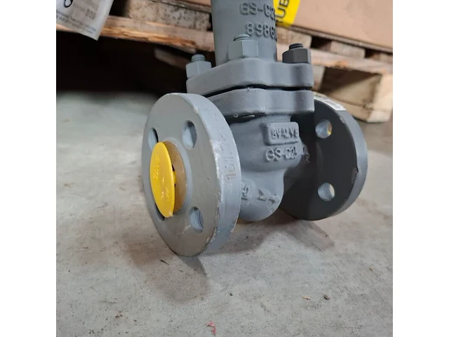 Balgafsluitklep bvalve, bv2506x - afbeelding 6 van  8