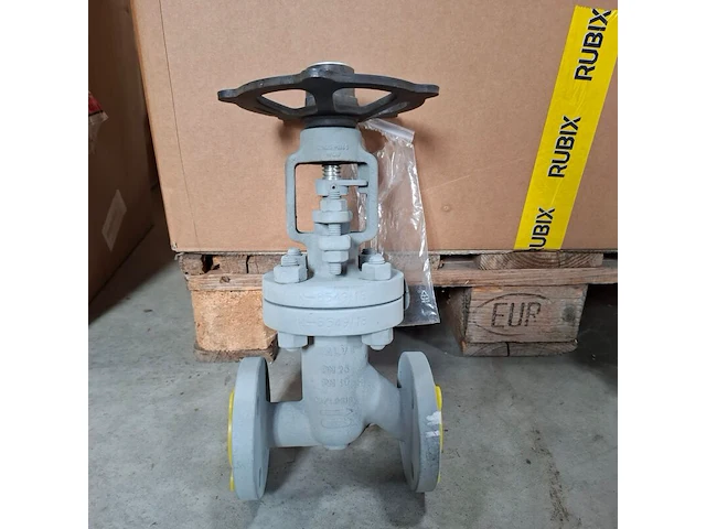 Balgklep bvalve, 2506x - afbeelding 1 van  8