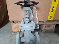 Balgklep bvalve, 2506x