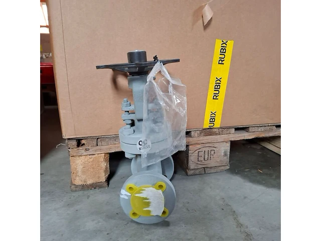 Balgklep bvalve, 2506x - afbeelding 2 van  8