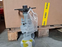 Balgklep bvalve, 2506x - afbeelding 2 van  8