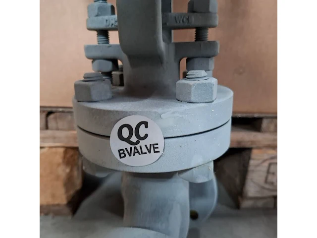 Balgklep bvalve, 2506x - afbeelding 3 van  8