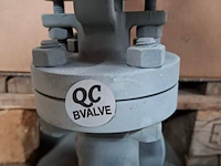 Balgklep bvalve, 2506x - afbeelding 3 van  8