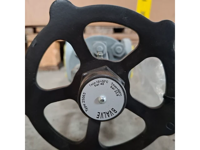 Balgklep bvalve, 2506x - afbeelding 4 van  8