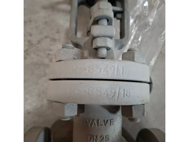 Balgklep bvalve, 2506x - afbeelding 5 van  8